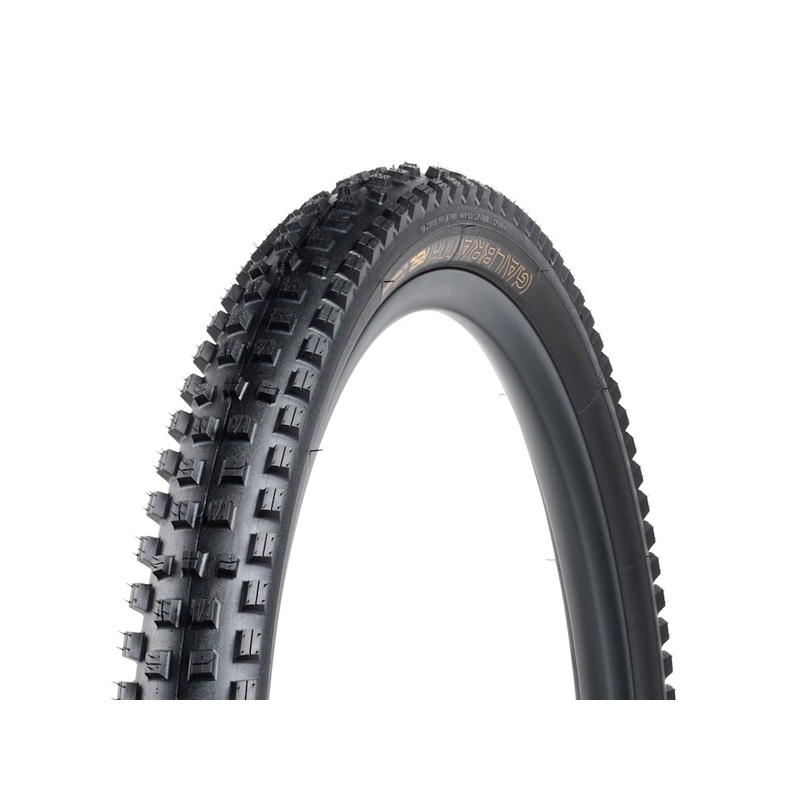 Tire Bontrager Galbraith RSL SE 29×2.50 Black