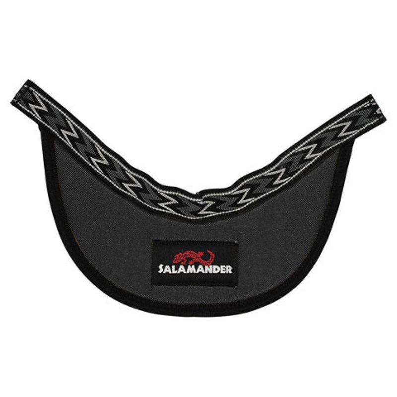 Beak Helmet Visor