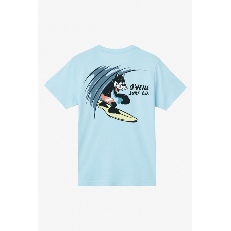 O’Neill Youth Closeout Tee-Sky Blue Heather